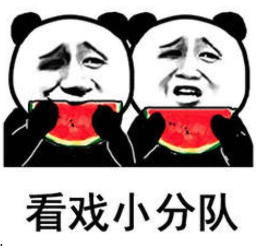 吃瓜娱乐小狗表情包